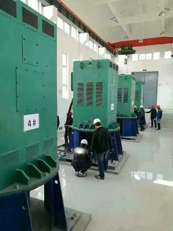 菏泽某污水处理厂使用我厂的立式高压电机安装现场生产厂家